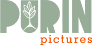 Purin Pictures