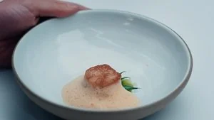 Scallop still