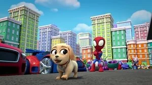 Puppy Pandemonium still