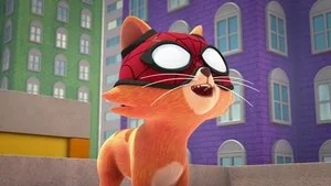 Spidey Cat still