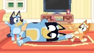 Ragdoll still