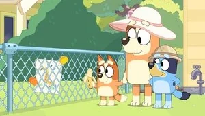 Zoo still