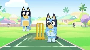 Cricket still