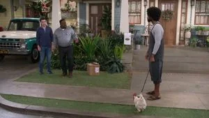 Welcome to the Rooster still