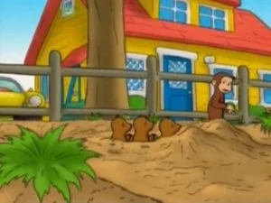 Monkey Underground still