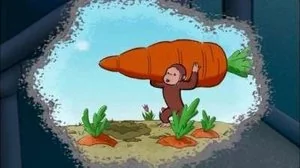 The Perfect Carrot still
