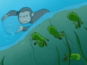 Curious George Discovers the 'Poles still