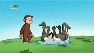 Water to Ducks still