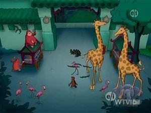 Zoo Night still