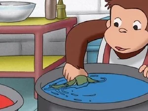 The Color of Monkey still