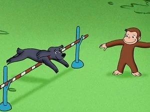 The Box and the Hound still