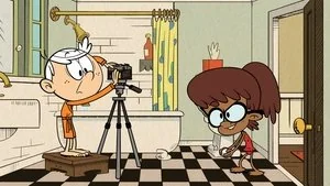 The Whole Picture still
