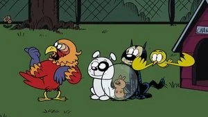 Party Fowl still