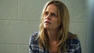The Ride Along still