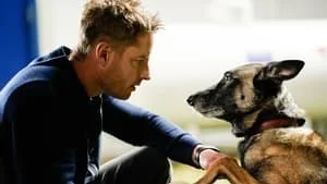 Man's Best Friend still