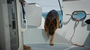 Rex Marks the Spot still