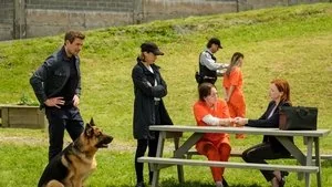 The Date Escape still