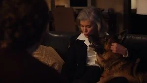 Wag the Dog still