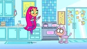 Cat's Fancy still