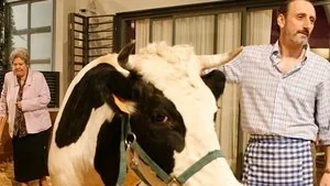 Un romance, un marchoso y una vaca en el jardín still