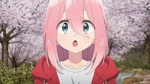 Touring and Checking Out the Cherry Blossoms still