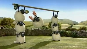 Off the Baa! still