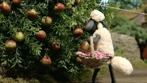 Scrumping still