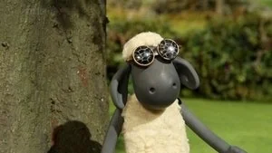 Ewe've Been Framed still