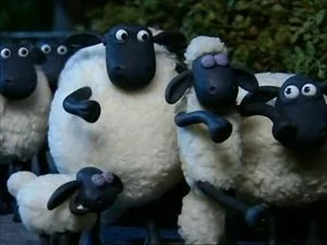 Sheepwalking still