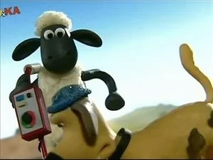 Heavy Metal Shaun still