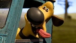 The Dog Show still