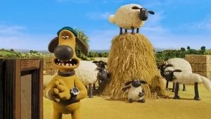 Room with a Ewe still