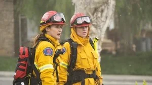 Into the Wildfire still