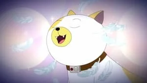 Cake the Cat still