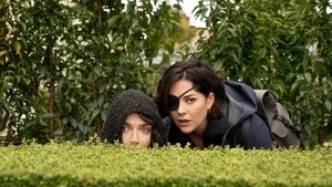 Person of Interest still