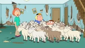 Nanny Goats still