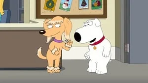 Boy (Dog) Meets Girl (Dog) still
