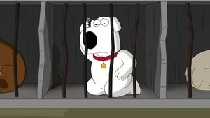 The Woof of Wall Street still