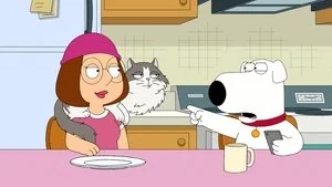 Family Cat still