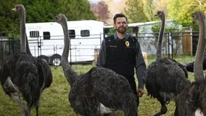 Weasels and Ostriches still