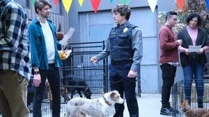 Dogs and Geese still