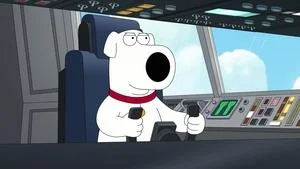 Dog is My Co-Pilot still