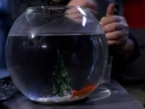 Buon Natale still