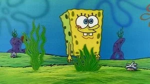 Nature Pants still