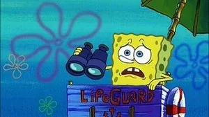 SpongeGuard on Duty still