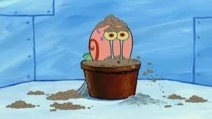 You Don't Know Sponge still