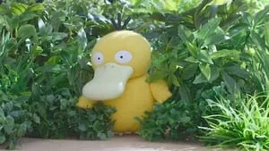 What’s on Your Mind, Psyduck? still