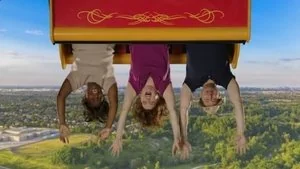 Upside Down Fun still