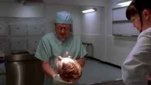 Head Case still