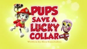 Pups Save a Lucky Collar still